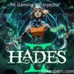RK Gaming VIP Injector