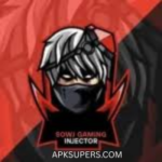 Sowj Gaming Injector